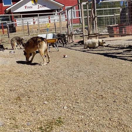 Finn-jann Huskyfarm Çiftlik konaklama *